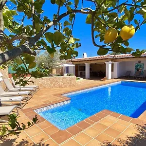 Palmera Villa